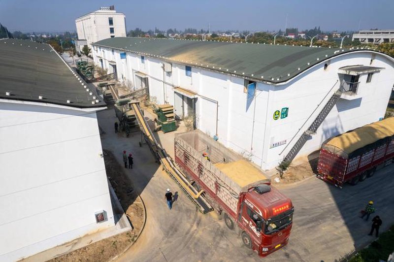 寻找质量兼优的面粉批发商——以郴州为例